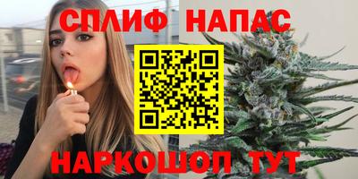 стаф Брянск
